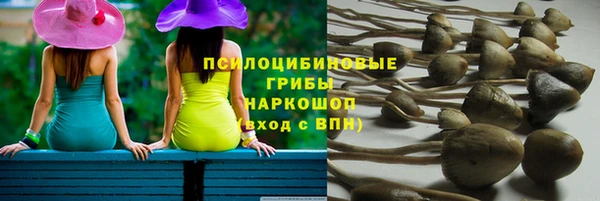 Альфа ПВП Володарск