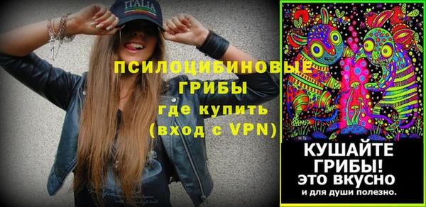 Альфа ПВП Володарск
