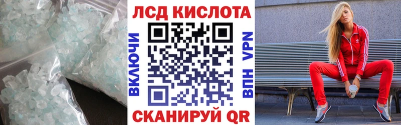 ЛСД экстази кислота  продажа наркотиков  Каргополь 
