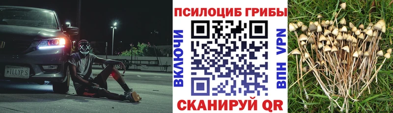 Псилоцибиновые грибы GOLDEN TEACHER  Каргополь 