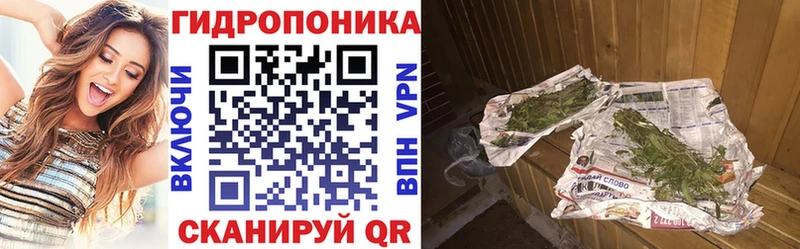 Каннабис индика  Каргополь 